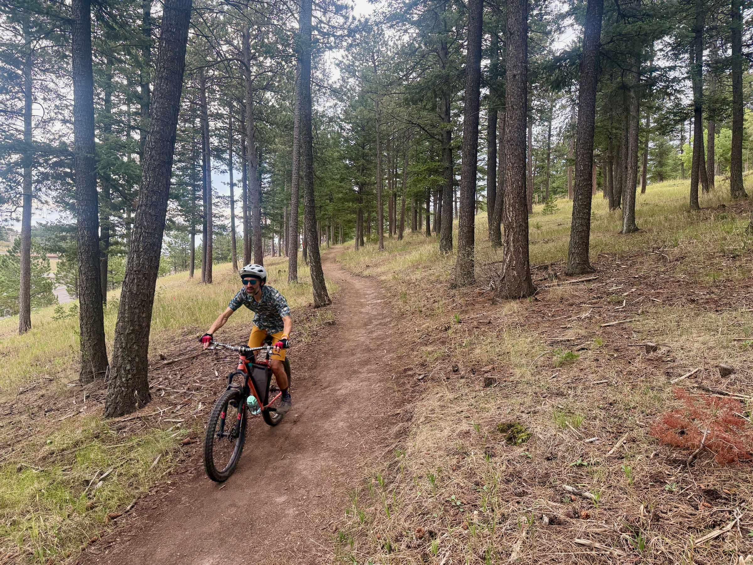 Brad riding a borrowed Surly Karate Monkey down shaded singletrack through ponderosa pine on the Genesee Mountain descent