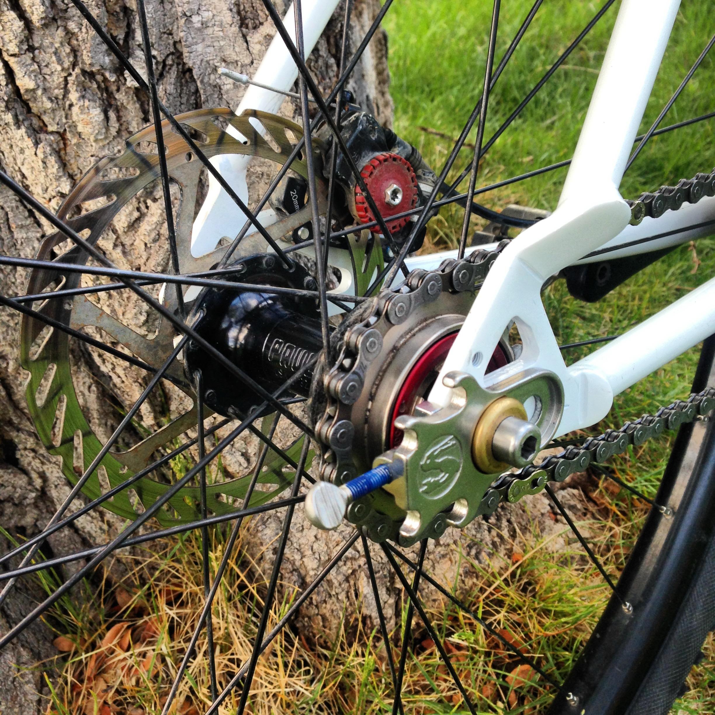 Close-up of a single-speed rear hub, cog, chain, and disc brake rotor, with the bike leaning against a tree